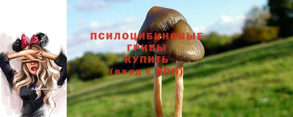 метамфетамин Алексеевка