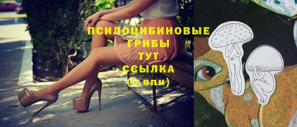 спайс Алексин