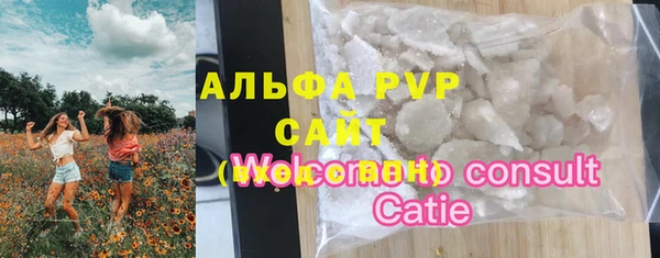 дживик Абаза